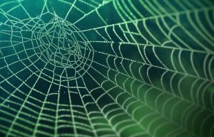 dark web myths