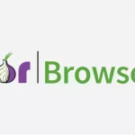 在假冒Tor浏览器的掩护下，价值40万美元的加密货币被盗-暗网里