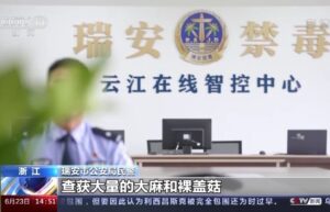 浙江瑞安警方破获新型毒品走私贩卖案,嫌疑人通过暗网与国外卖家进行毒品交易 2 ruian